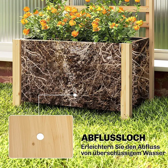 Furnicato Hochbeet - 120 x 39 x 120 cm, Holz, Naturholz - Holzkübel mit transparenter Seite, die Pflanzenwurzeln zeigt, und einem hervorgehobenen Abflussloch. Steht im Gras.
