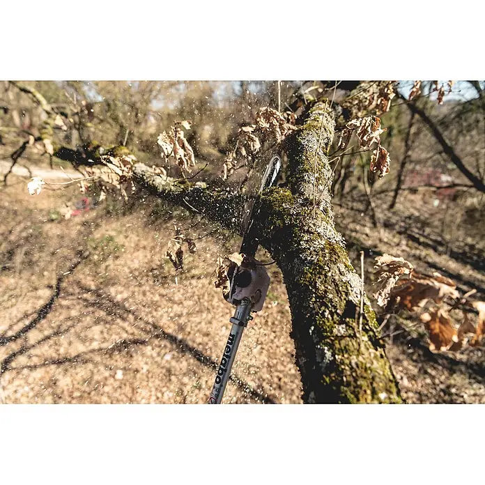 Metabo Hochentaster-Aufsatz - Passend für: Metabo Akku-Multifunktionsantrieb MA 36-18 LTX BL Q - Silberner Metabo Hochentaster sägt einen bemoosten Ast, Sägespäne fliegen.