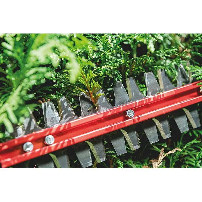 Metabo CAS 18V Akku-Heckenschere HS 18 LTX BL 75 - 18 V, Ohne Akku, Schnittlänge: 70 cm - Nahaufnahme der Metallklingen und des roten Gehäuses einer Heckenschere beim Schnitt durch grüne Heckenäste.