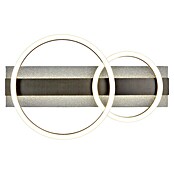 Globo LED stropna svjetiljka Norberto  (30 W, D x Š x V: 482 x 300 x 88 mm, Crna) | BAUHAUS