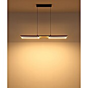 Globo Lámpara colgante LED redonda Bruce (30 W, Blanco cálido) | BAUHAUS
