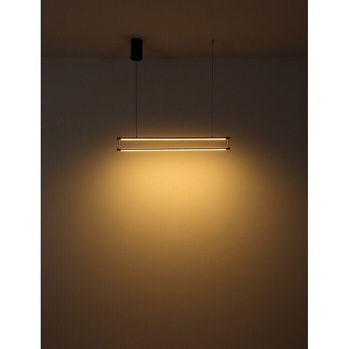 Globo Lámpara colgante LED redonda Kayson (30 W, Blanco cálido) | BAUHAUS