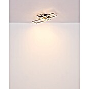 Globo LED stropna svjetiljka Sapena  (20 W, D x Š x V: 526 x 374 x 75 mm, Crna, Topla bijela) | BAUHAUS