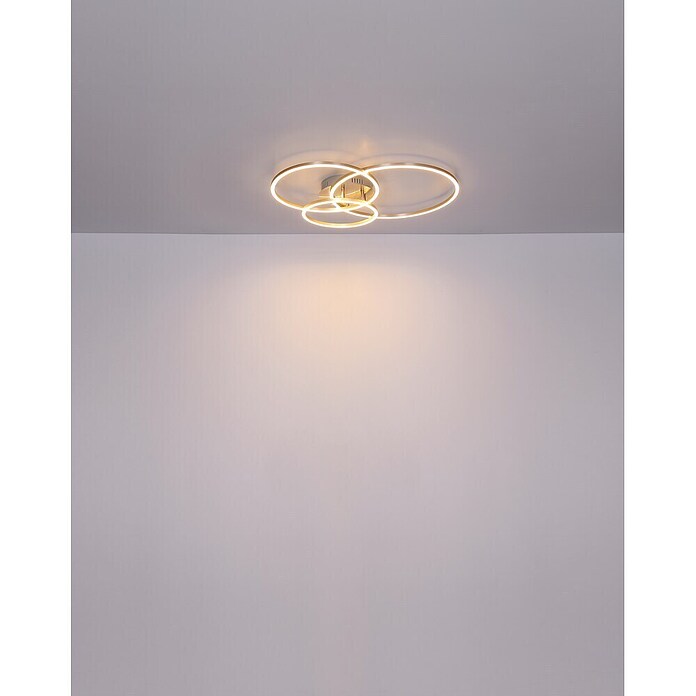 Globo LED stropna svjetiljka Munni  (40 W, D x Š x V: 680 x 550 x 100 mm, Siva) | BAUHAUS