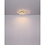 Globo LED stropna svjetiljka Munni  (40 W, D x Š x V: 680 x 550 x 100 mm, Siva) | BAUHAUS