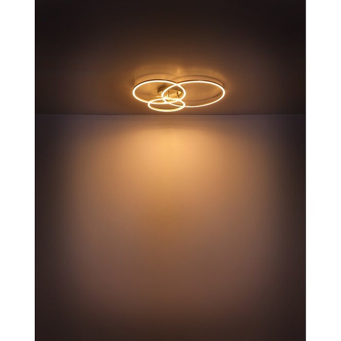 Globo LED stropna svjetiljka Munni  (40 W, D x Š x V: 680 x 550 x 100 mm, Siva) | BAUHAUS