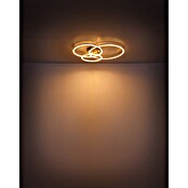 Globo LED stropna svjetiljka Munni  (40 W, D x Š x V: 680 x 550 x 100 mm, Siva) | BAUHAUS