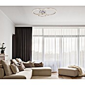Globo LED stropna svjetiljka Munni  (40 W, D x Š x V: 680 x 550 x 100 mm, Siva) | BAUHAUS