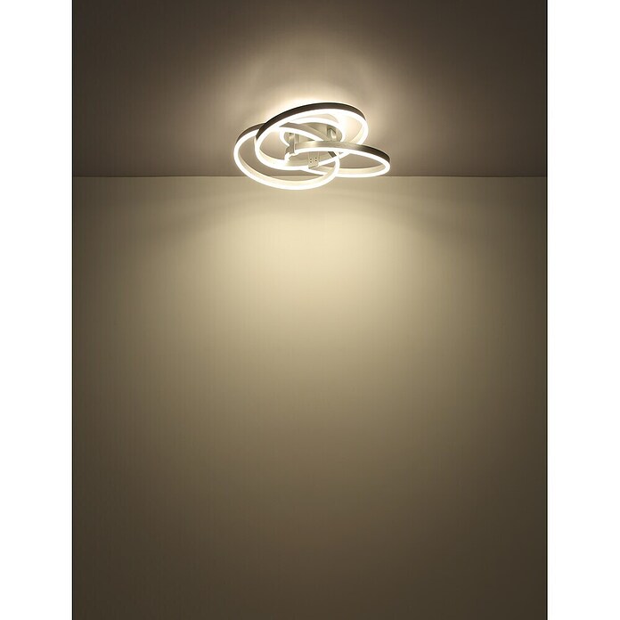 Globo LED stropna svjetiljka Herwig  (56 W, D x Š x V: 600 x 575 x 200 mm, Siva) | BAUHAUS