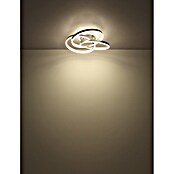Globo LED stropna svjetiljka Herwig  (56 W, D x Š x V: 600 x 575 x 200 mm, Siva) | BAUHAUS