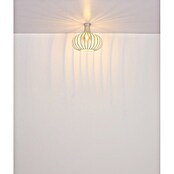 Globo Stropna svjetiljka Mateo  (60 W, Ø x V: 40 x 35 cm, Bež, E27) | BAUHAUS