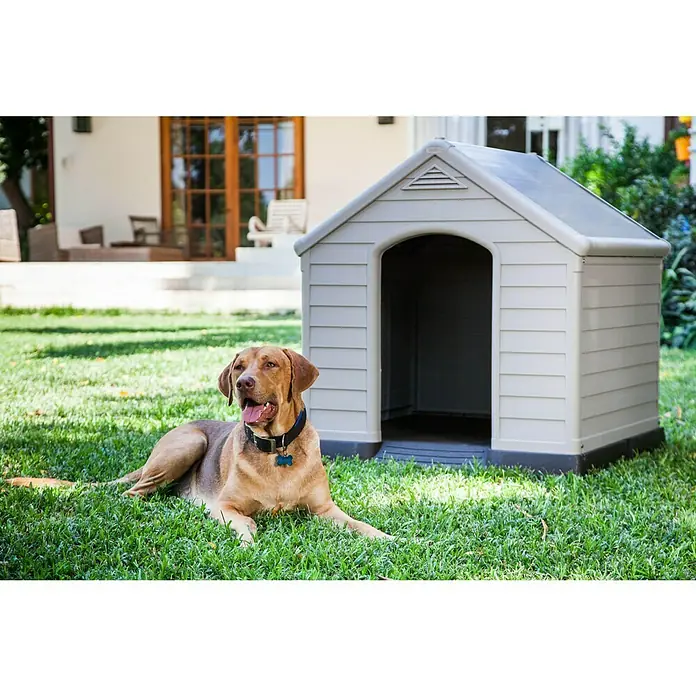 Keter Caseta para perro Dog Kennel - 99 x 95 x 99 cm, Plástico, Beige - Un labrador marrón yace en la hierba frente a una caseta de perro gris. La caseta de perro ofrece al animal refugio del clima.