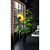Globo Stajaća svjetiljka Timo  (40 W, Visina: 152,6 cm, Crna, E27) | BAUHAUS