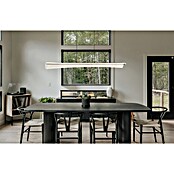 Globo LED viseća svjetiljka Malinda  (36 W, Ø x V: 1.210 cm x 1.200 mm, Siva) | BAUHAUS