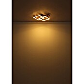 Globo LED stropna svjetiljka Jeffry  (16 W, D x Š x V: 440 x 330 x 85 mm, Crna, smeđa, Topla bijela) | BAUHAUS