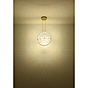 Globo LED viseća svjetiljka Neil  (115 W, Izgled plemenitog čelika) | BAUHAUS