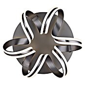 Globo LED stropna svjetiljka Kuni  (37,5 W, Siva) | BAUHAUS