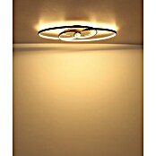 Globo LED stropna svjetiljka Tisha  (40 W, D x Š x V: 850 x 300 x 90 mm, Crna, Topla bijela) | BAUHAUS
