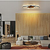 Globo LED stropna svjetiljka Tisha  (40 W, D x Š x V: 850 x 300 x 90 mm, Crna, Topla bijela) | BAUHAUS