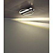 Globo LED stropna svjetiljka Norberto  (24 W, D x Š x V: 342 x 300 x 68 mm, Crna) | BAUHAUS