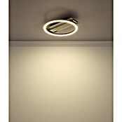 Globo LED stropna svjetiljka Norberto  (24 W, D x Š x V: 342 x 300 x 68 mm, Crna) | BAUHAUS