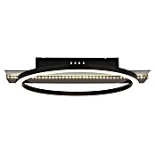 Globo LED stropna svjetiljka Norberto  (24 W, D x Š x V: 342 x 300 x 68 mm, Crna) | BAUHAUS