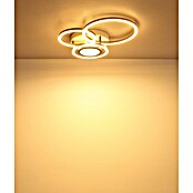 Globo LED stropna svjetiljka Randell  (40 W, D x Š x V: 490 x 390 x 100 mm, Smeđa) | BAUHAUS