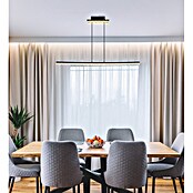 Globo LED viseća svjetiljka Hilton  (32 W, Crna) | BAUHAUS