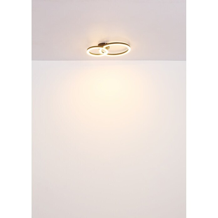 Globo LED stropna svetilka Adda  (15 W, Do x Š x V: 42 x 30 x 7 cm, Črna) | 3016 - Deckenleuchte | CACB - Deckenleuchten | CAC - Indoorleuchten | CA - Beleuchtung | C - Elektro | BAUHAUS