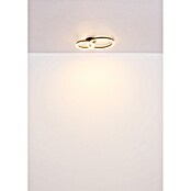 Globo LED stropna svetilka Adda  (15 W, Do x Š x V: 42 x 30 x 7 cm, Črna) | 3016 - Deckenleuchte | CACB - Deckenleuchten | CAC - Indoorleuchten | CA - Beleuchtung | C - Elektro | BAUHAUS