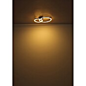 Globo LED stropna svetilka Adda  (15 W, Do x Š x V: 42 x 30 x 7 cm, Črna) | 3016 - Deckenleuchte | CACB - Deckenleuchten | CAC - Indoorleuchten | CA - Beleuchtung | C - Elektro | BAUHAUS