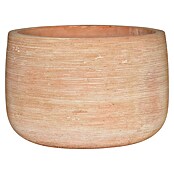 Pflanztopf Altamura Natur (Ø x H: 44 x 30 cm, Terrakotta, 1 Stk.) | BAUHAUS