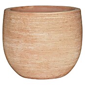 Pflanztopf Altamura Natur (Ø x H: 34 x 29 cm, Terrakotta, 1 Stk.) | BAUHAUS
