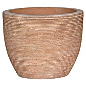 Pflanztopf Altamura Natur (Ø x H: 22 x 18 cm, Terrakotta, 1 Stk.) | BAUHAUS