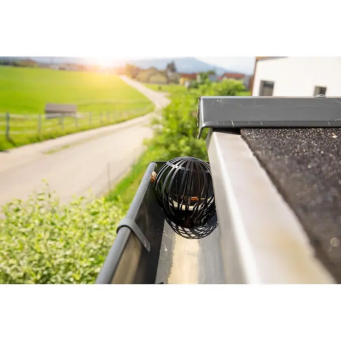 Windhager Fallrohrfilter Cage - Schwarz - Schwarzer kugelförmiger Laubfangkorb in dunkler Dachrinne, verhindert Verstopfungen, vor ländlicher Kulisse.