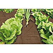 Windhager Unkrautvlies Premium (Vlies, 10 x 0,9 m)