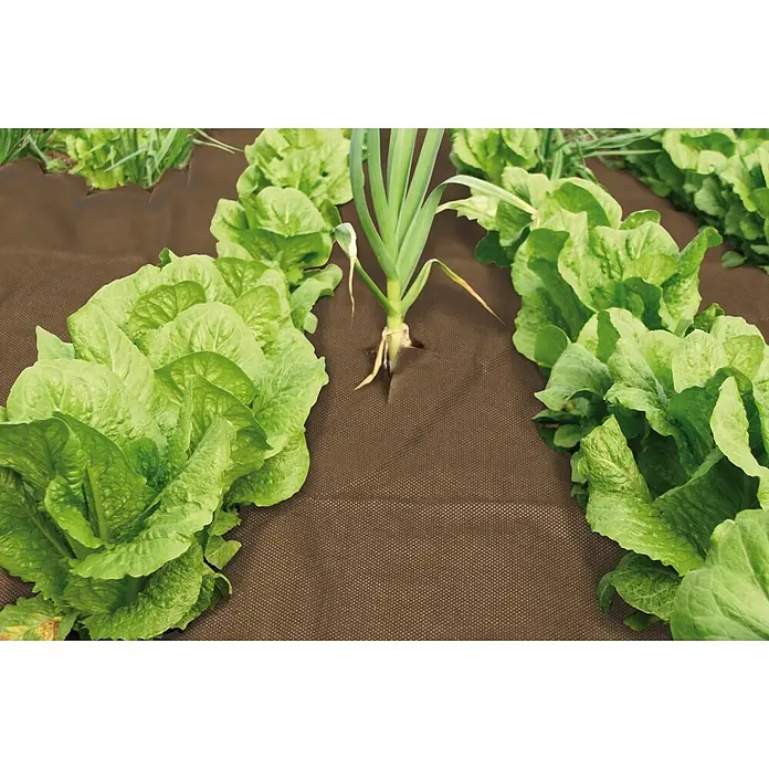 Windhager Unkrautvlies Premium - Vlies, 10 x 0,9 m - Braunes Unkrautvlies in einem Garten mit Salat und Lauch, die durch vorgeschnittene Öffnungen wachsen.