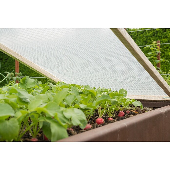 Windhager Gitterfolie (L x B: 3 x 2 m, Weiß)