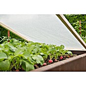 Windhager Gitterfolie (L x B: 3 x 2 m, Weiß)
