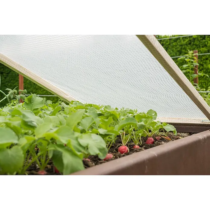 Windhager Gitterfolie Standard - L x B: 3 x 2 m, Weiß - Weiße Netz-Gartenabdeckung auf hellem Holzrahmen, schützt rote Radieschen in einem Hochbeet.