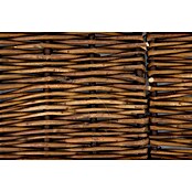 Windhager Beeteinfassung Typ 12 (Weide, 100 x 35 cm)