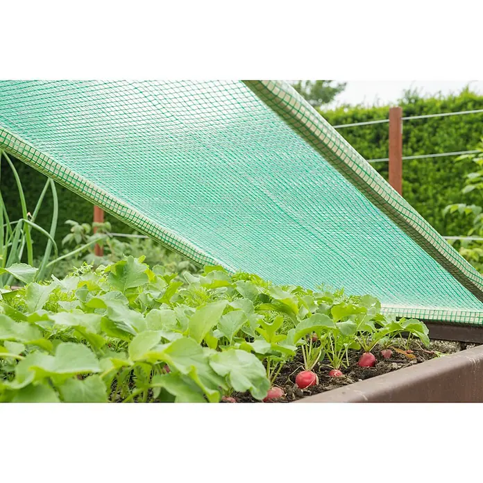 Windhager Gitterfolie Strong - L x B: 3 x 2 m, Grün - Grünes Schutznetz über jungen Radieschenpflanzen im Hochbeet.