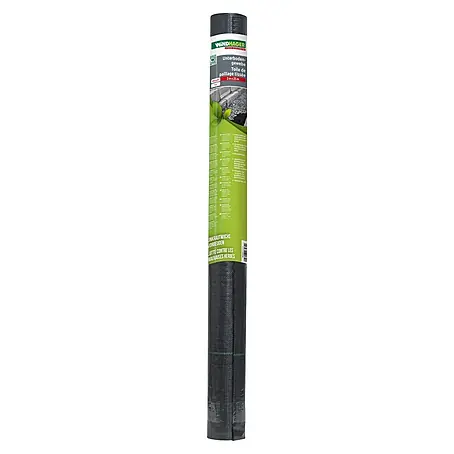 pflegeleichter bambus Fargesia rufa