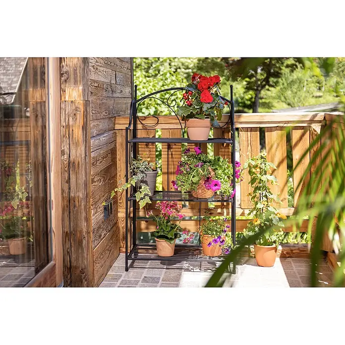 Windhager Metallregal 3-stufig - Pulverbeschichtet, Gerade - Schwarzes Metall-Pflanzenregal mit bunten Topfblumen auf einem Holzbalkon.