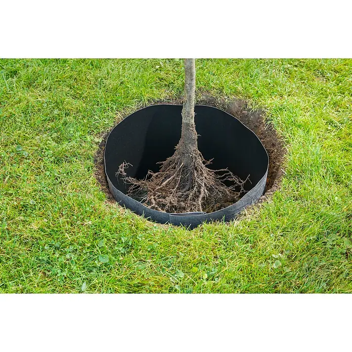 Windhager Wurzelsperre Vlies - B x L: 65 cm x 3,5 m - Schwarze Wurzelsperre aus Vliesstoff, in einem Pflanzloch um die freiliegenden Wurzeln eines Baumes.