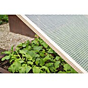 Windhager Gitterfolie (L x B: 3 x 2 m, Weiß)