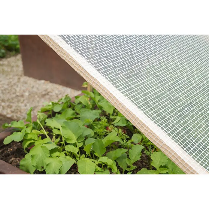 Windhager Gitterfolie Standard - L x B: 3 x 2 m, Weiß - Weißer Netz-Pflanzenschutz mit hellem Holzrahmen über grünen Pflanzen im Gartenbeet.