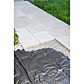 Windhager Unkrautabwehrgewebe Unterboden-Gewebe (Kunststoff, 25 x 2 m)