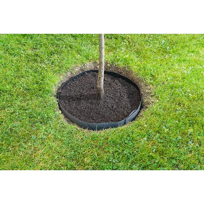 Windhager Wurzelsperre Vlies - B x L: 65 cm x 3,5 m - Dunkelgrauer Stoff-Baumring um den Stamm eines jungen Baumes im Rasen, mit Erde gefüllt.