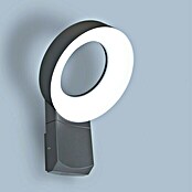 Lutec Aplique exterior LED Meridian (1 luz, 14 W, Blanco cálido, IP54 (unidad exterior))